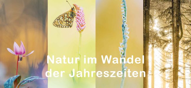 Naturkalender 2026