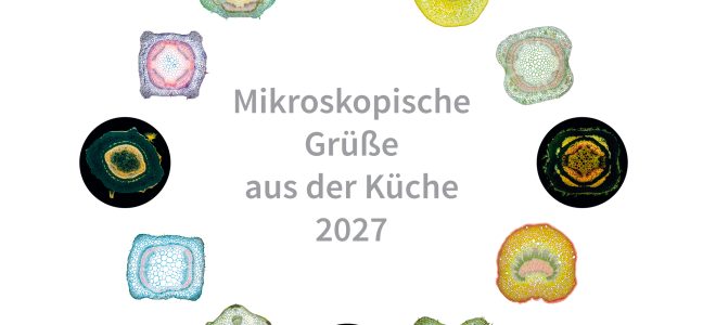 Kalender MIKROGRAFIE 2027