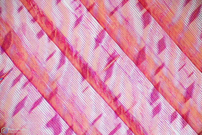 Fichte_RADIAL_EtholdBlau_SP2FL_26pics_2021-10-04 19-52-38 (C,Smoothing4)-Bearbeitet Fichte_RADIAL_EtholdBlau_SP2FL_26pics_2021-10-04 19-52-38 (C,Smoothing4)-Bearbeitet