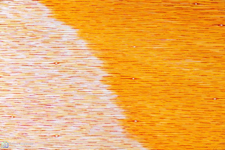 Fichte_TANG_Acridinrot_Chrysoidin_SP2FL_39pics_2021-10-04 20-08-53 (C,Smoothing4)-Bearbeitet Fichte_TANG_Acridinrot_Chrysoidin_SP2FL_39pics_2021-10-04 20-08-53 (C,Smoothing4)-Bearbeitet