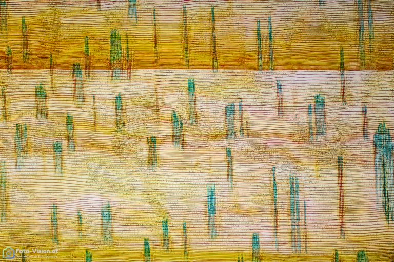 Kiefer_SP2FL_32pics_2021-08-01 12-51-45 (C,Smoothing2)-Bearbeitet Kiefer_SP2FL_32pics_2021-08-01 12-51-45 (C,Smoothing2)-Bearbeitet