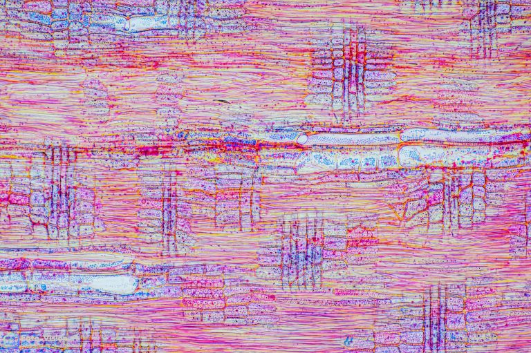 Olive_RAD_FCA_SPA10x125_BW_1.15mm_412022_Stack_41pics Olive_RAD_FCA_SPA10x125_BW_1.15mm_412022_Stack_41pics